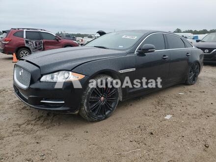 2014 Jaguar #1