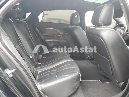 2014 Jaguar #10