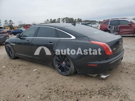 2014 Jaguar #2