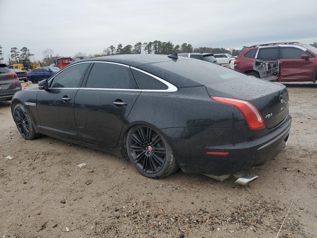 2014 Jaguar #2