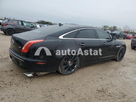 2014 Jaguar #3