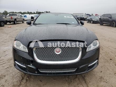 2014 Jaguar #5