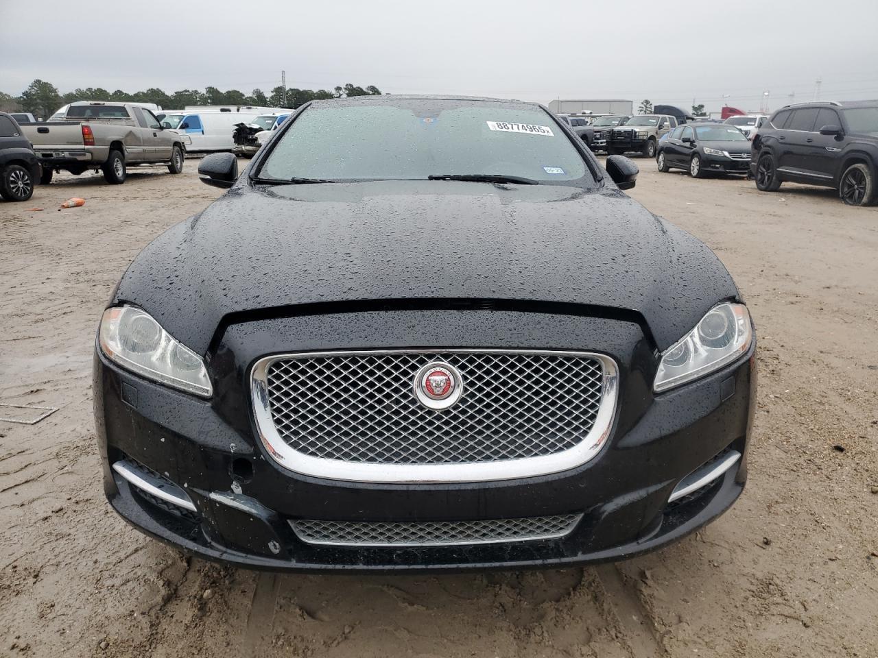 2014 Jaguar #5