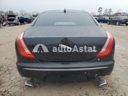 2014 Jaguar #6