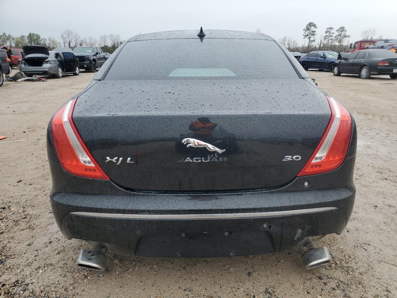 2014 Jaguar #6