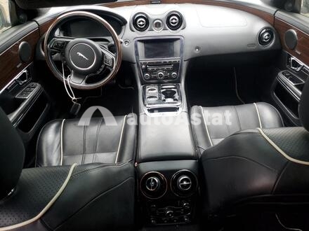 2014 Jaguar #8
