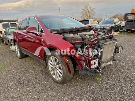 2019 Cadillac #1