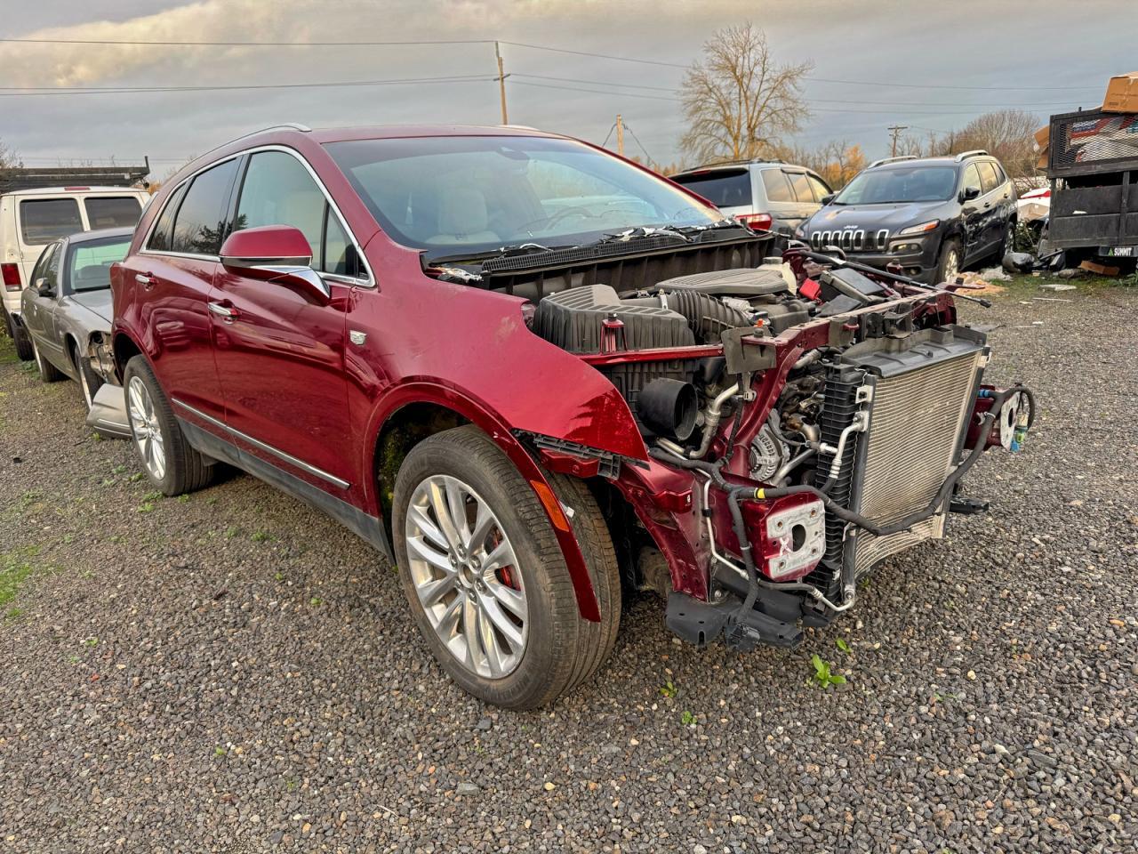 2019 Cadillac #1