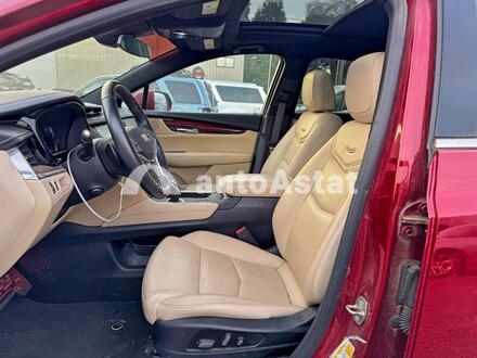 2019 Cadillac #11