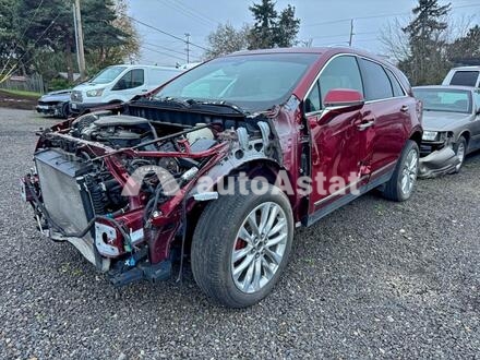 2019 Cadillac #2