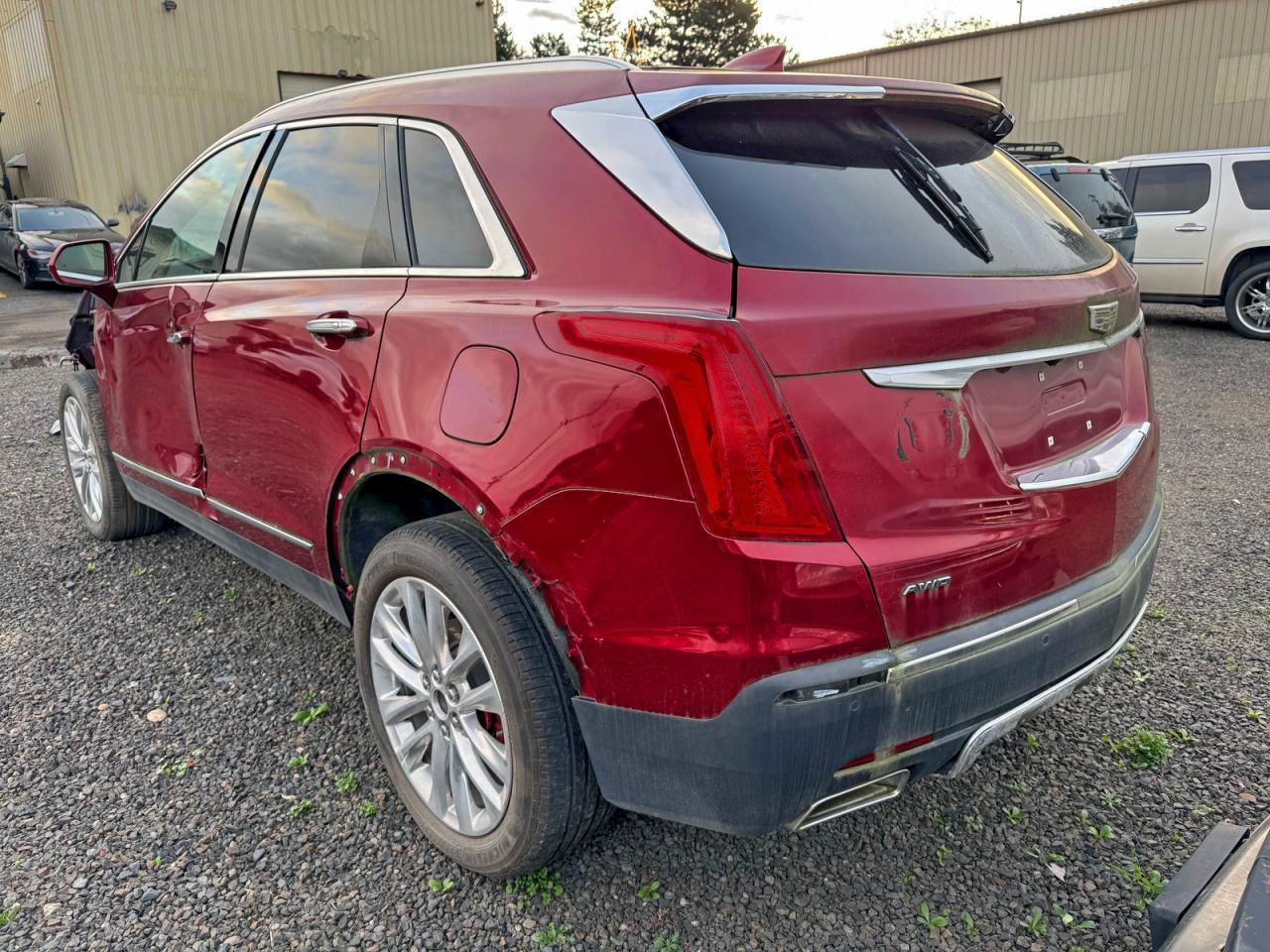 2019 Cadillac #3