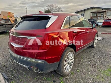2019 Cadillac #4