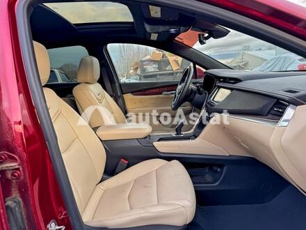 2019 Cadillac #5