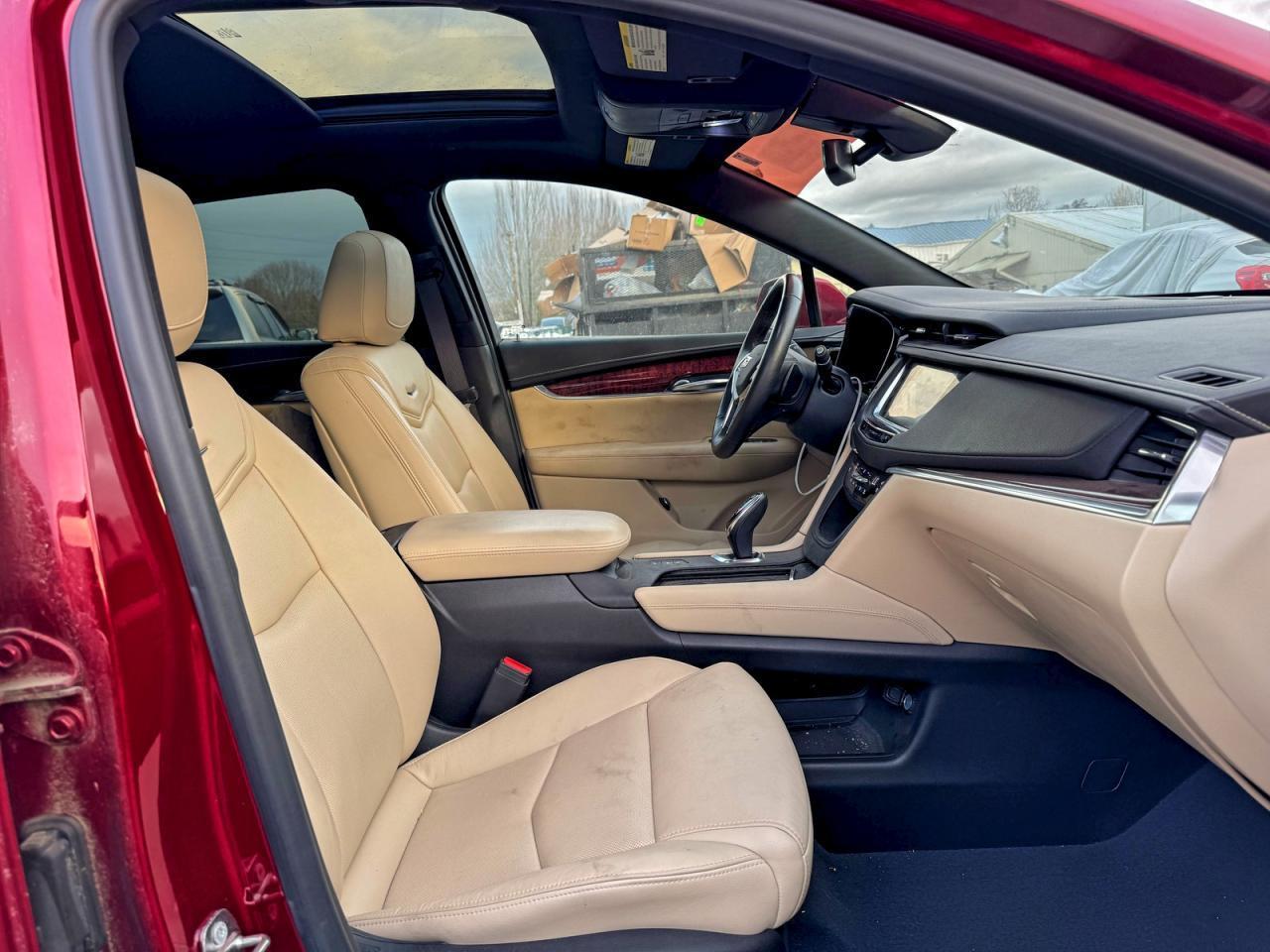 2019 Cadillac #5