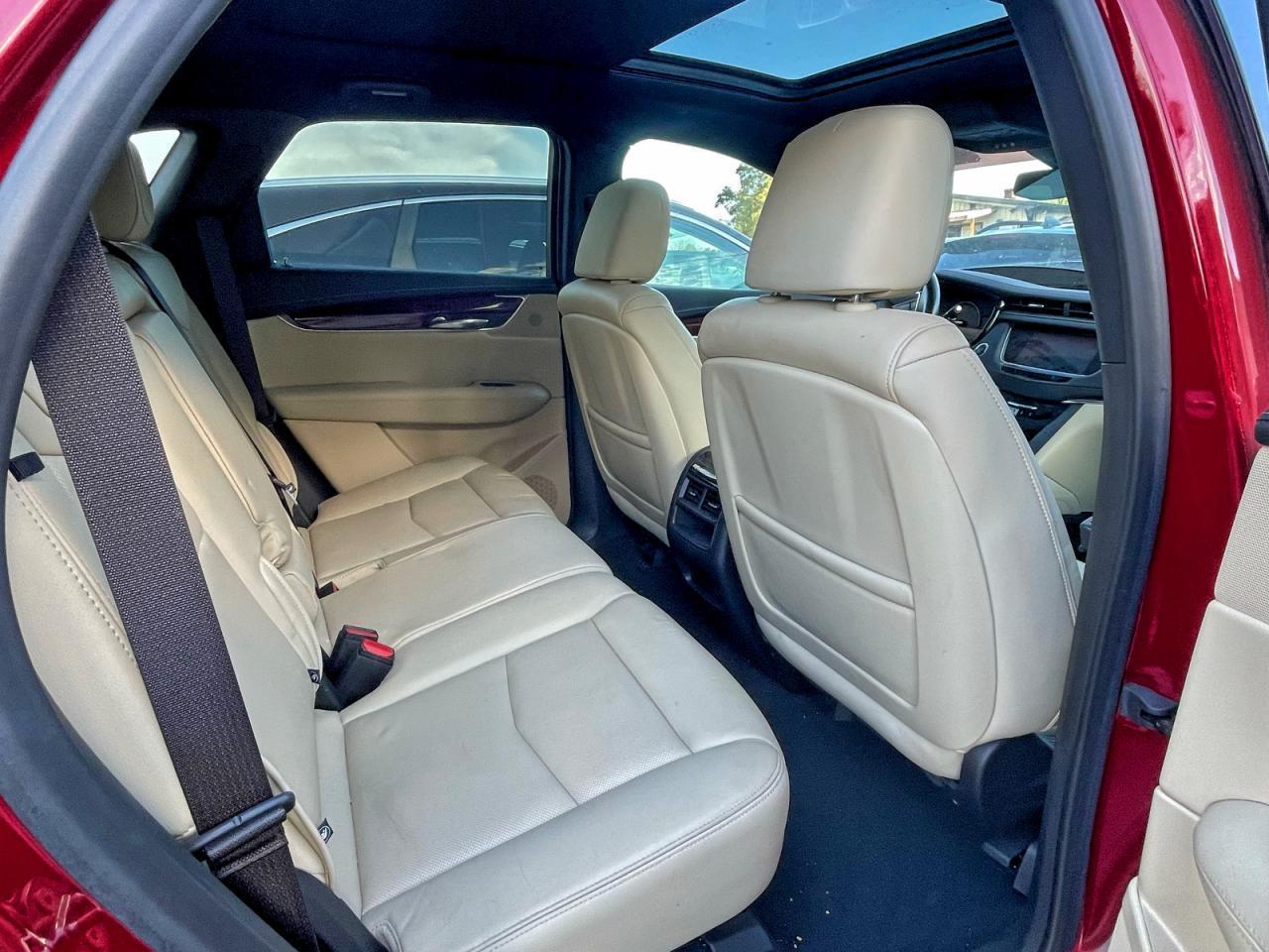 2019 Cadillac #6
