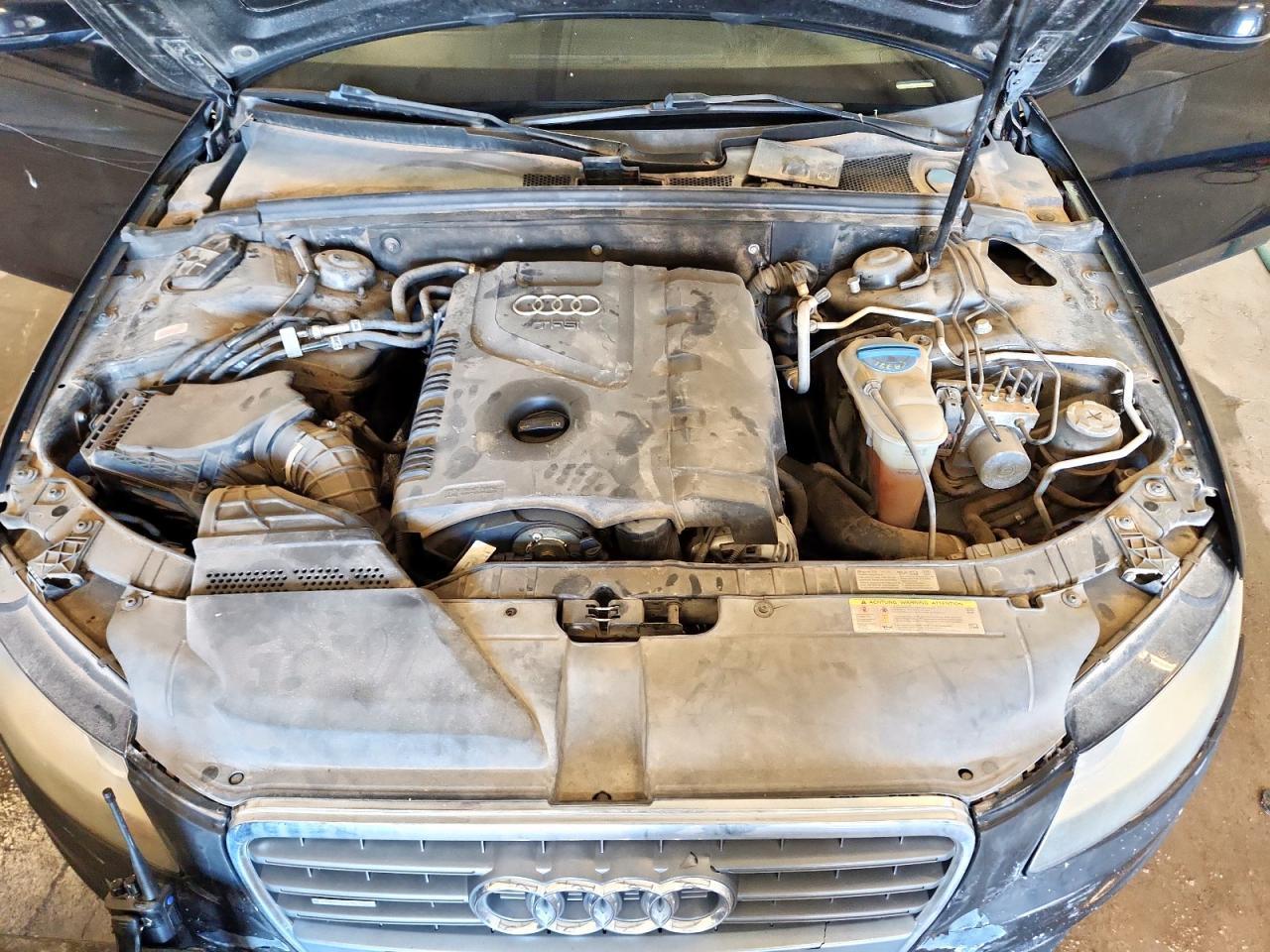 2011 Audi #11