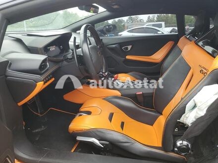 2021 Lamborghini #7