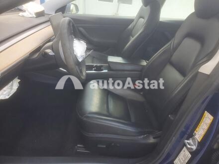 2020 Tesla #7