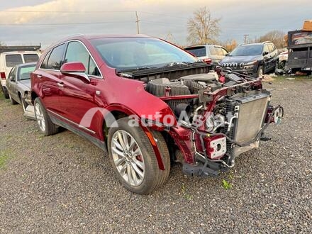 2019 Cadillac #1