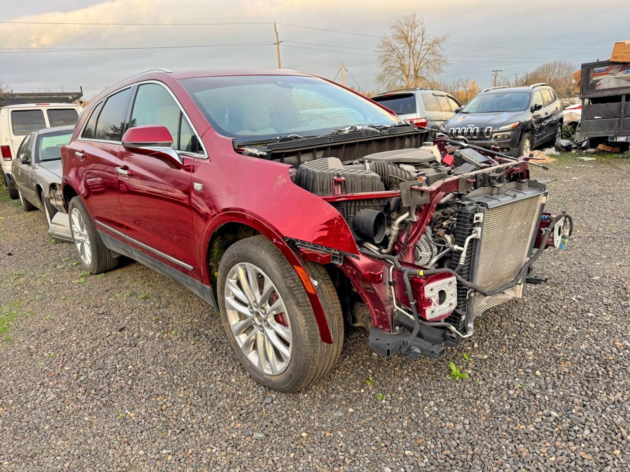 2019 Cadillac #1