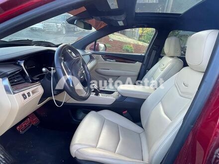 2019 Cadillac #11
