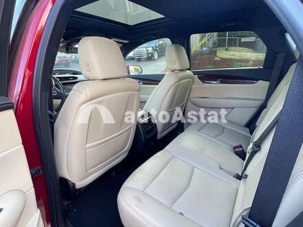 2019 Cadillac #12