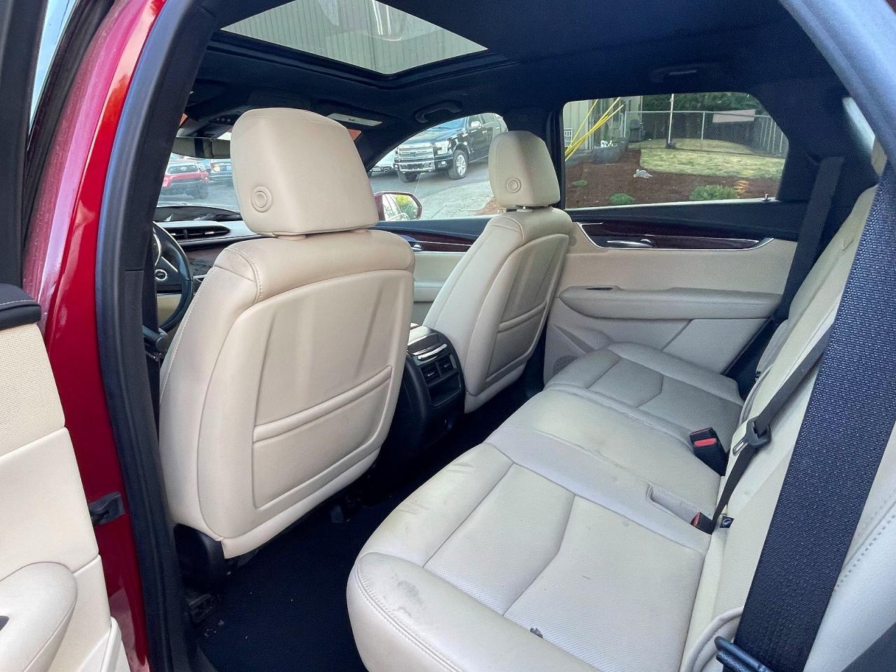 2019 Cadillac #12