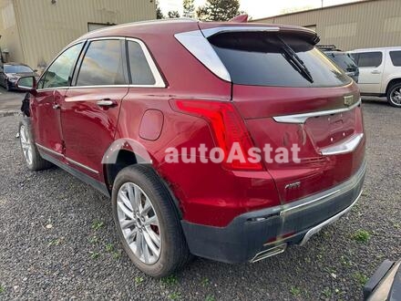 2019 Cadillac #3