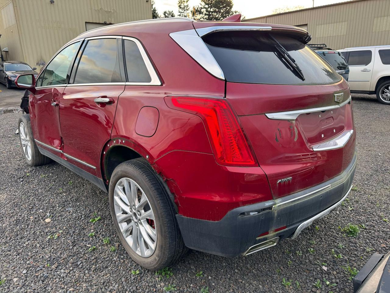 2019 Cadillac #3