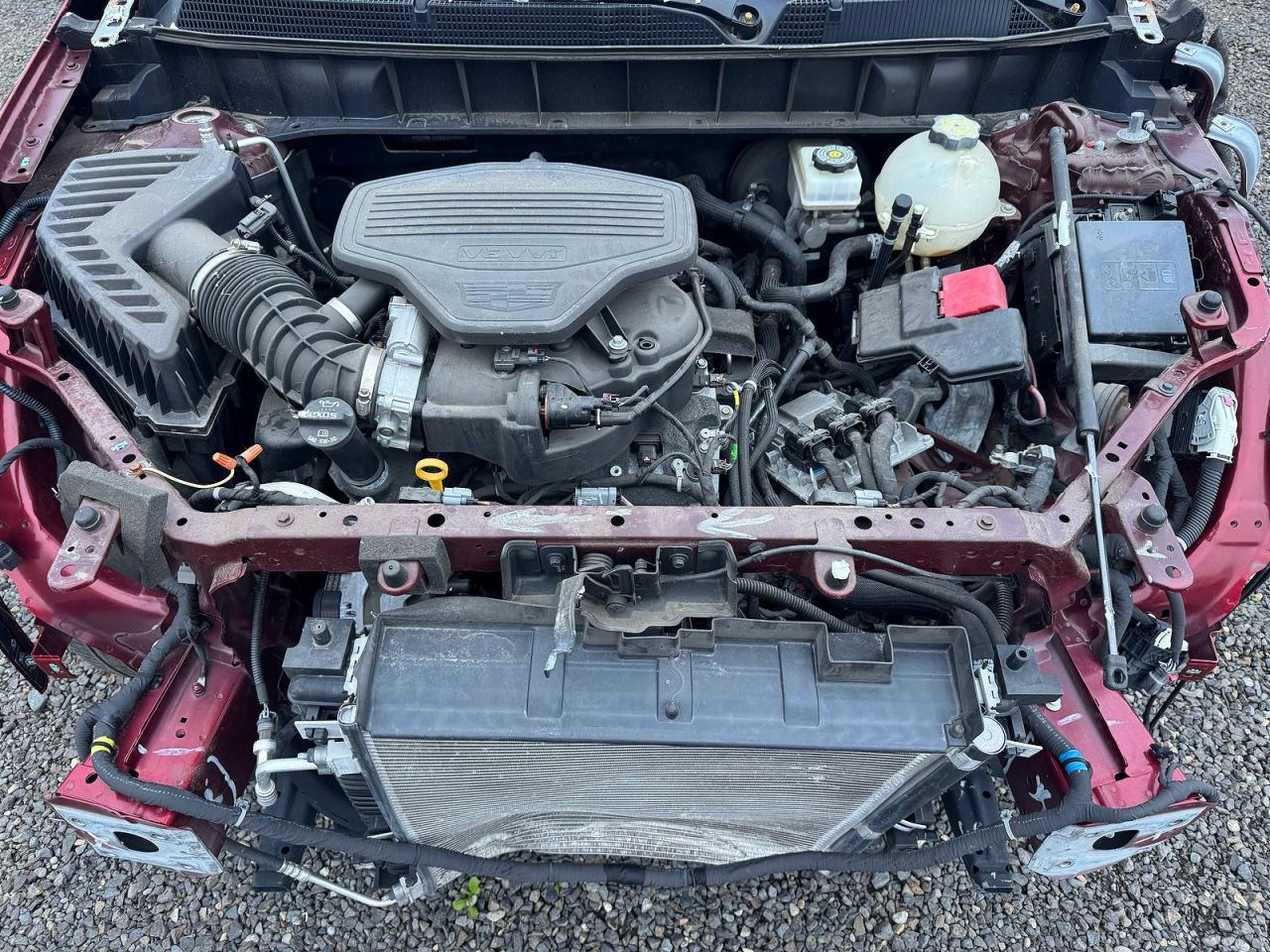 2019 Cadillac #7