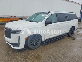 2021 Cadillac Escalade ESV #77802865