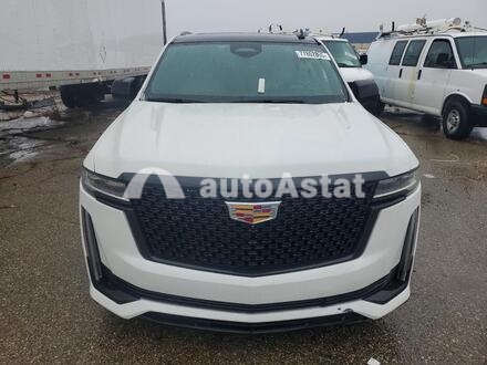 2021 Cadillac #5