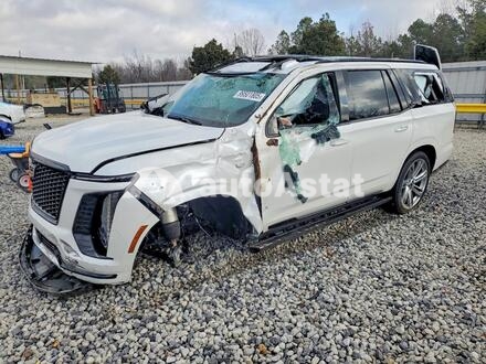 2025 Cadillac #1