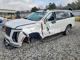 2025 Cadillac Escalade #99501805