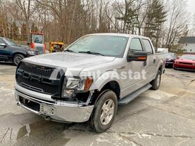 2011 Ford F-150 #2