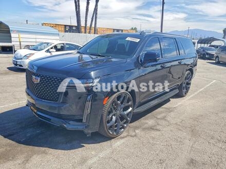 2023 Cadillac #1