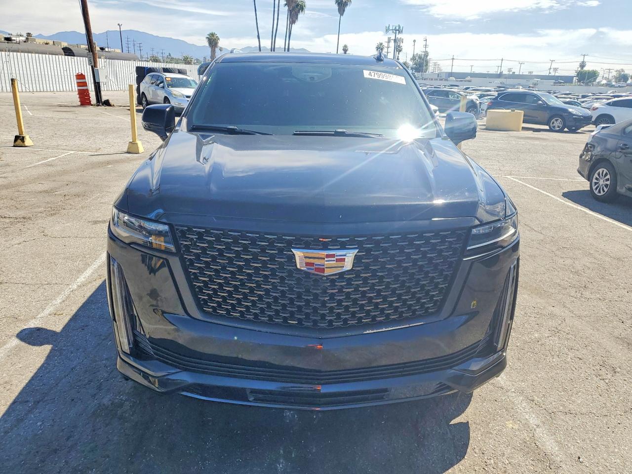 2023 Cadillac #5