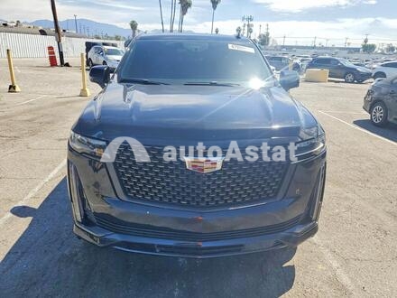 2023 Cadillac #5