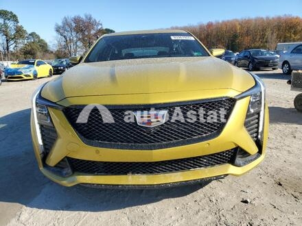2026 Cadillac #5