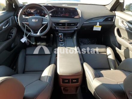 2026 Cadillac #8