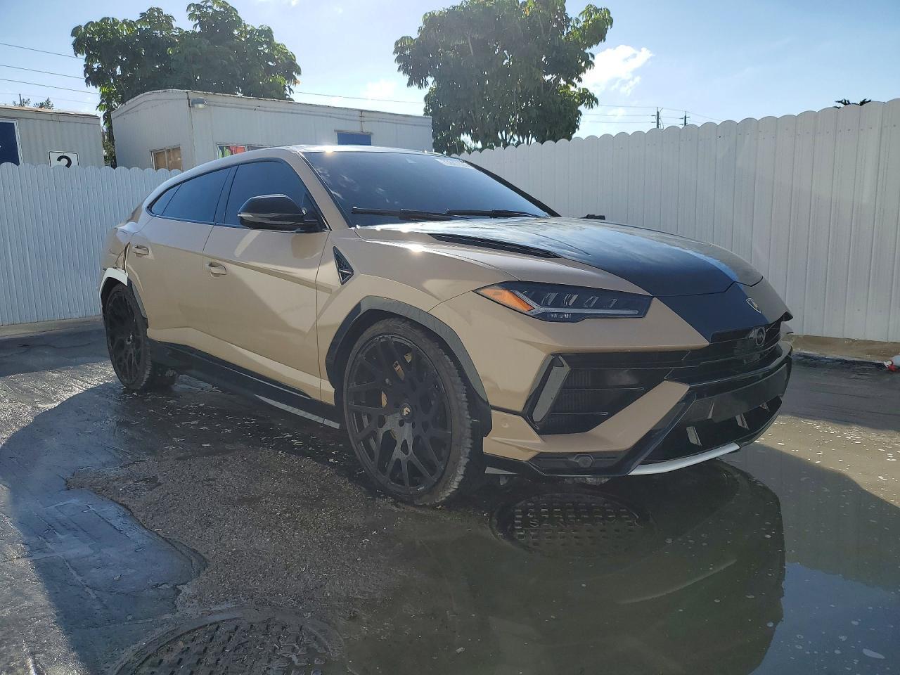 2024 Lamborghini #4