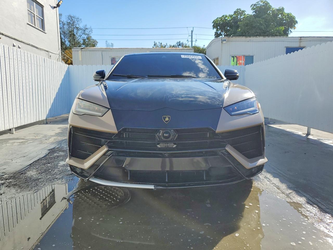2024 Lamborghini #5