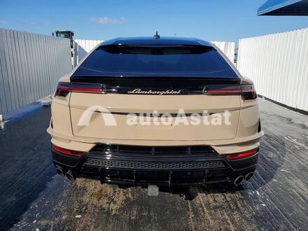 2024 Lamborghini #6
