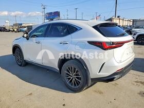 AutoAstat фото 2