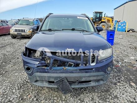2016 Jeep #5