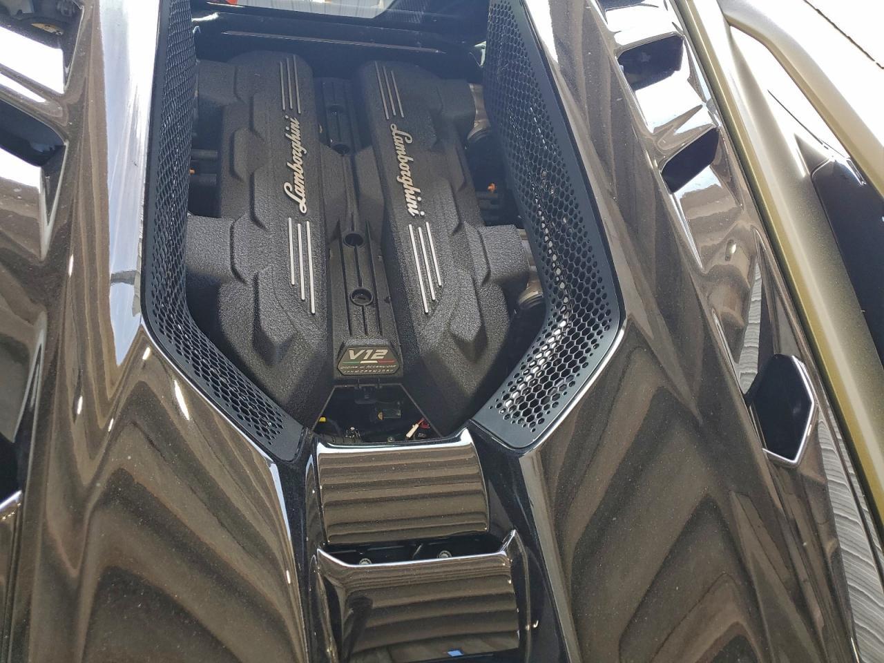 2025 Lamborghini #11