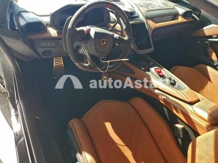 2025 Lamborghini #8