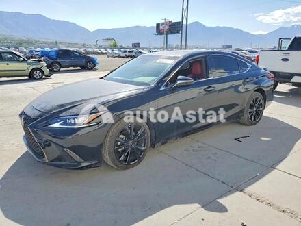 2022 Lexus #1