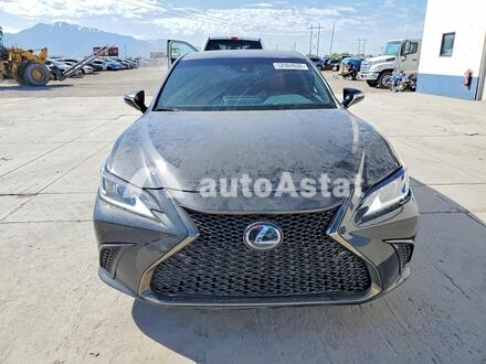 2022 Lexus #5