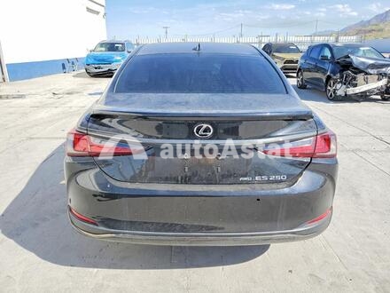 2022 Lexus #6